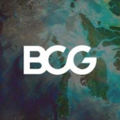The Boston Consulting Group GmbH