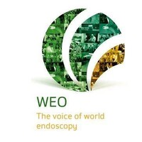 WEO World Endoscopy Organization